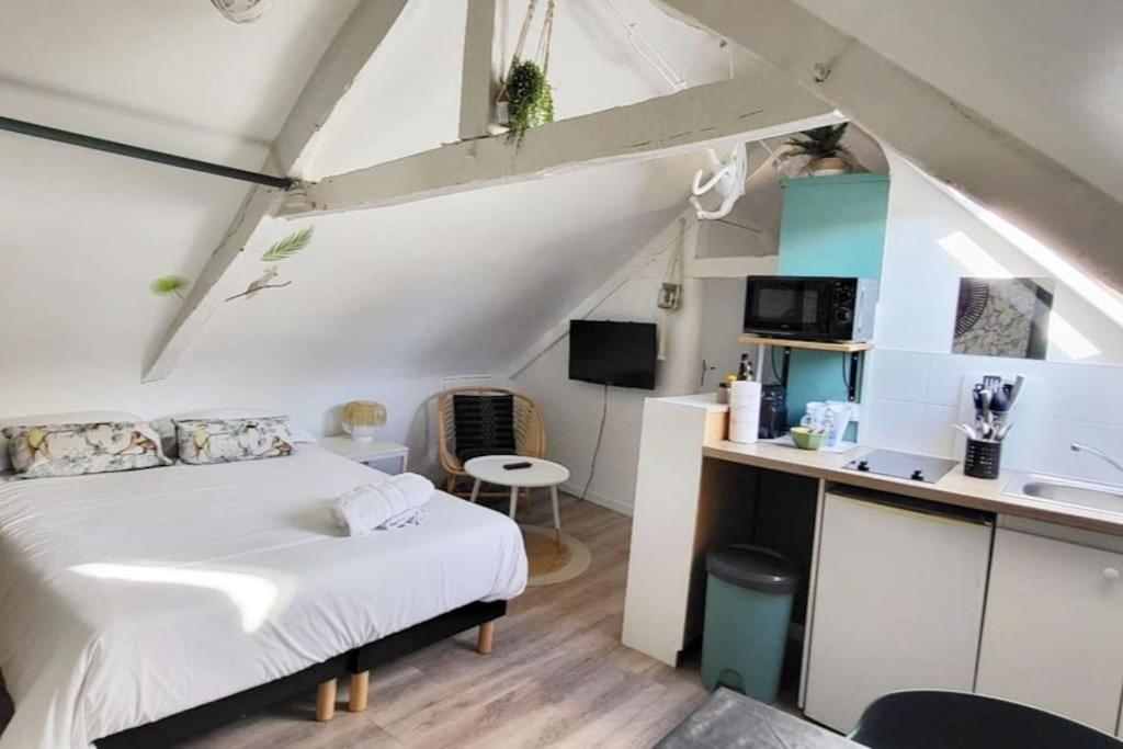 La Cabane - Petit Studio Mansarde - Plage 50M - Rue Gratuite Saint-Malo Exterior foto